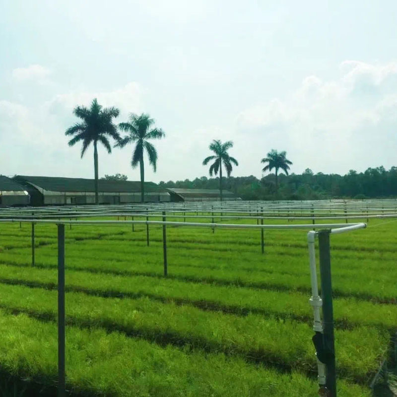 種植基地