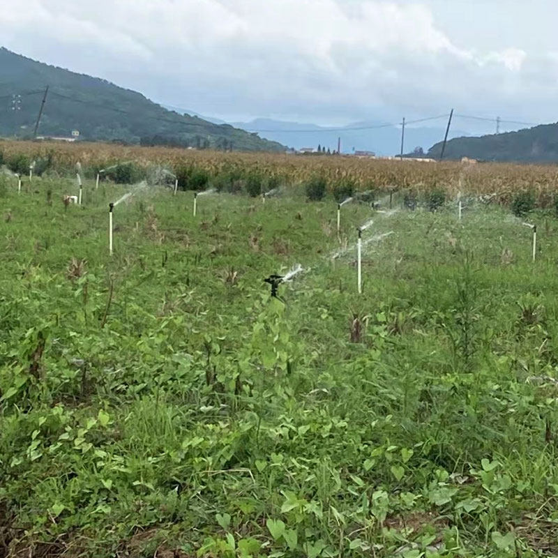 種植基地